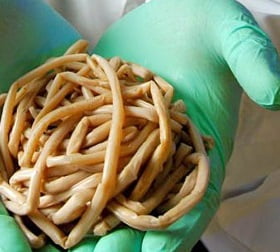 Глисты 2