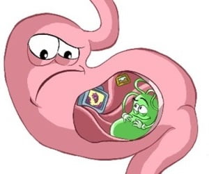 Хронический гастрит симптомы