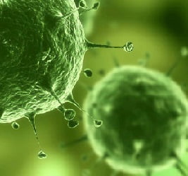 Микоплазма