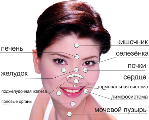 Карта прыщей на лице