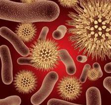 Уреаплазма у мужчин