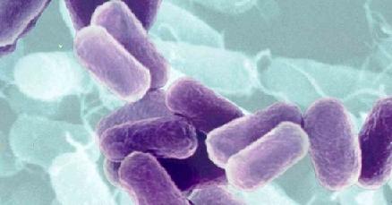 Микоплазма у мужчин лечение