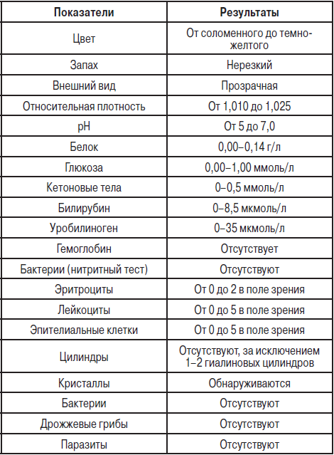 Общий анализ мочи расшифровка