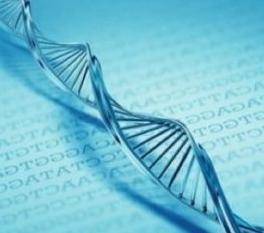 анализ методом ПЦР