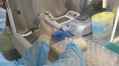 как проводят анализ методом ПЦР