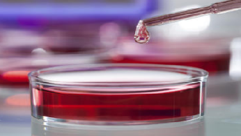 Активированное частичное тромбопластиновое время