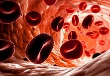 Почему эритроциты в крови повышены