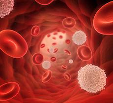 Повышенные лимфоциты