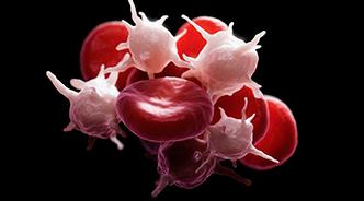 Повышенные тромбоциты причины