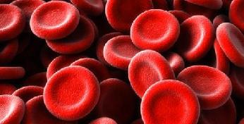 Повышены эритроциты в крови у ребенка