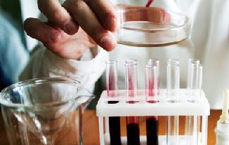 почему базофилы понижены