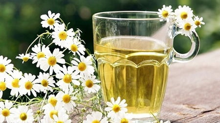 Спринцевание ромашкой при молочнице