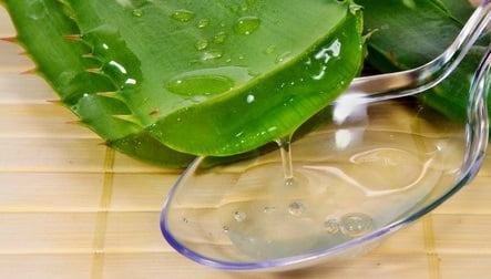 сок алоэ при хейлите