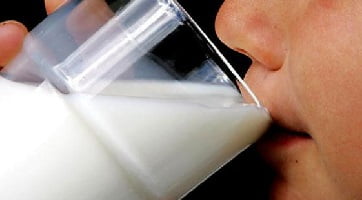 Бруцеллез у человека причины