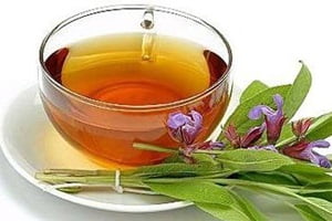 Отвар шалфея