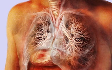 Трахеит причины