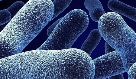 Вульвит причины